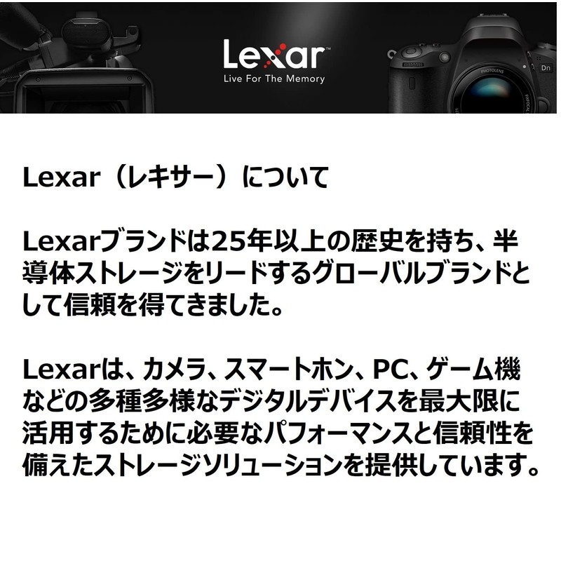 Lexar LSD256CB1667 SDXC Card, 256 GB, Silver Series, Class 10