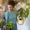 Relaxdays Set of 20 Reusable Blackboard Clips with Chalk Plant