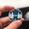 ACGZQY 8 Years Sobriety Coin - Star Forest, Reborn from