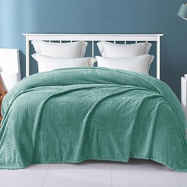 Exclusivo Mezcla Celadon Fleece King Size Blanket for Bed, 90x104 Inches Soft Cozy 3D Decorative Jacquard Flannel Blankets, Lightweight Fuzzy Plush Warm Blankets for All Seasons
