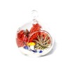 Creations by Nathalie - DIY Terrarium Kit with Live Air