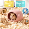 2-Pack Small Animal Backpack Carrier & Ceramic Hamster Hideout for
