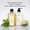 Bigelow Jabón Manos Lima Cilantro Village Perfumer Hidratante Baño Cocina
