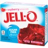 Jell-O Raspberry Sugar Free Gelatin Dessert Mix (24 ct Pack,