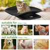 Kytree Digital Pet Scale for Small Animal, LED Display Puppy