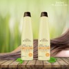Be Natural Shampoo Be Natural (350 ml) BETO BEAUTY