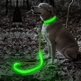 Illumifun Reflective LED Dog Leash, 47.2 inch Water Resistant Pet Leash Glow in The Dark (Green3)