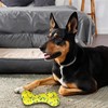 GLURUITE E-TPU Bone Dog Toy for Aggressive Chewers, Dog Chew