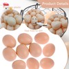 QIUMING 20pcs Artificial Eggs for Hens Eggs for Painting Artificial