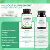 L-Theanine 400mg Capsules – 99.6% Pure | 150 Capsules for