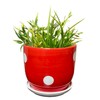 Streamline Imagined Mushroom Spotted Planter