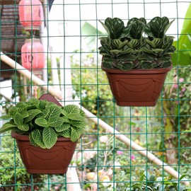 PHG Wall Flower Planters | Outdoor Plastic Planters | Balcony Garden Planters | Garden Wall Planters | Terracotta (Pack of 6)