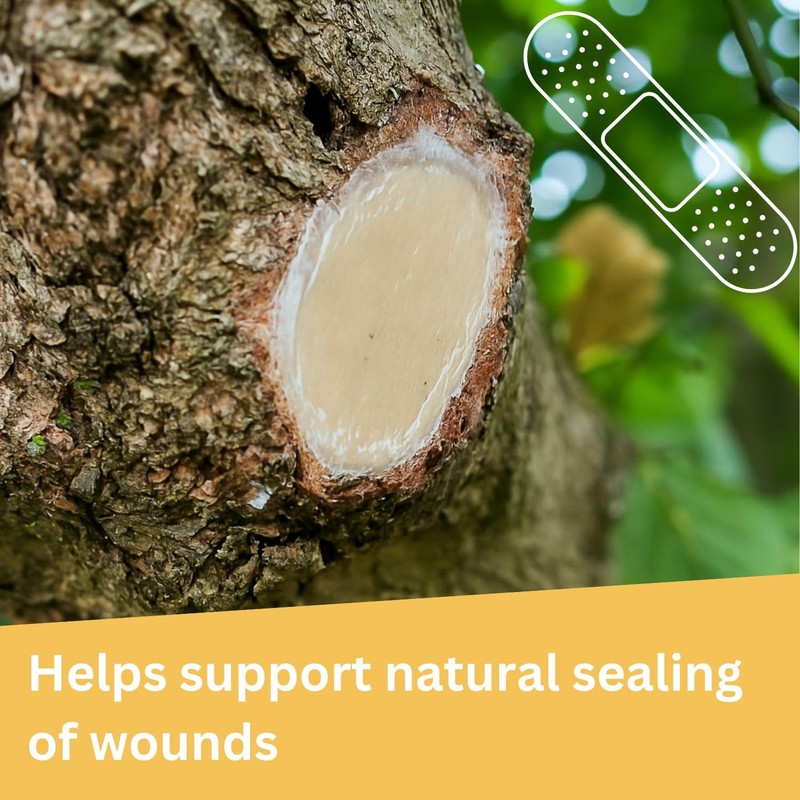 Briliantwerk 28 oz Transparent Tree Pruning Sealer - Tree Wound