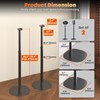 Speaker Stands for Sonos Era 100 SL, Era 100 &