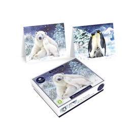 Tom Smith 20 Boxed Luxury Charity Christmas Cards 2 Polar Bear & Penguin Designs