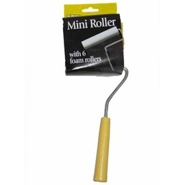 Mini Roller & 6 Foam Rollers