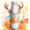 KollyKolla Stainless Steel Drinking Bottle, 500 ml, 3D Print Drinking