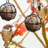 Fat Ball Bird Feeder,Ompinda 4 Pack Metal Hanging Bird Suet
