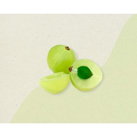 Commons Adaptógenos - AMLA - Extracto en Polvo 100 gr - Suplemento Natural - Tónico para la Piel y Cabello - Vitamina C - Antiinflamatorio y Antioxidante - 100% Orgánico - Vegano