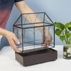 YIMORENCE V Large Tall Glass Plant Terrarium – House Succulent
