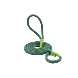 LOS LADRIDOS DE MEXICO Correa para Perro Premium para Paseo y Entrenamiento Resistente con Agarre Cómodo y Seguro para Mascota (Verde, Grande)