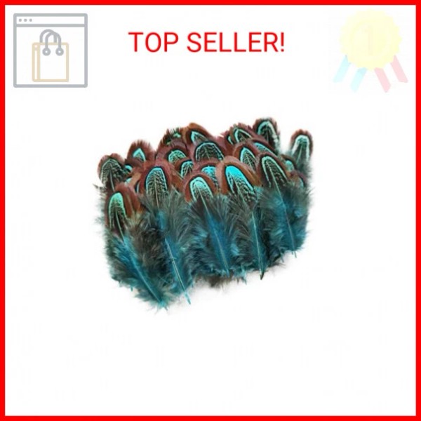 50 pcs Natural Pheasant Plumage Feathers 2-3 Inches Plumage Feathers
