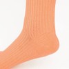 Gunze Sabrina Women's Washi Thread Socks, 32 Ribs, Set of