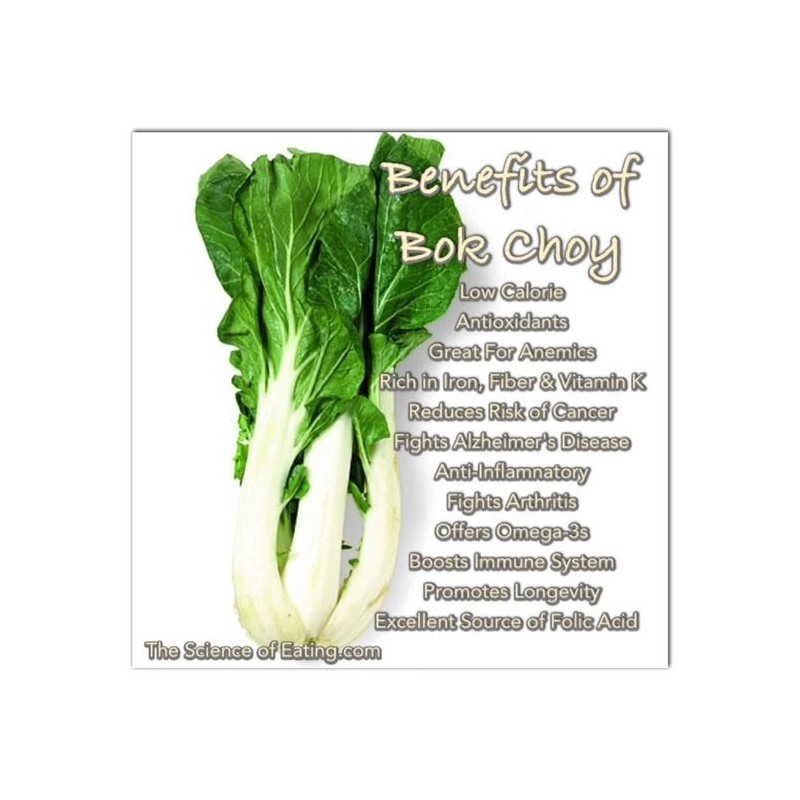 Pak Choi seeds 400 Pak Choi White Stem Cabbage Seeds-Non