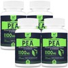 Solavica Liposomal Palmitoylethanolamide (Pea) 1100mg with Luteolin, Micronized Pea -