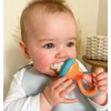 Nuby Nibbler Mesh First Soft Foods Feeder, 2pk, Colors May