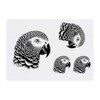 4 x 'African Grey Parrot' Temporary Tattoos - Water Resistant,