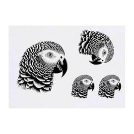 4 x 'African Grey Parrot' Temporary Tattoos - Water Resistant, Skin-Safe, Non-Toxic Transfers, Mixed Sizes (TO00084964)
