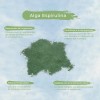Espirulina 100% Pura Premium Polvo 1 Kg.
