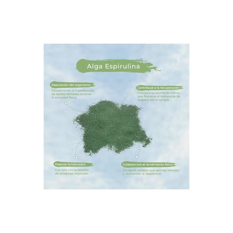 Espirulina 100% Pura Premium Polvo 1 Kg.