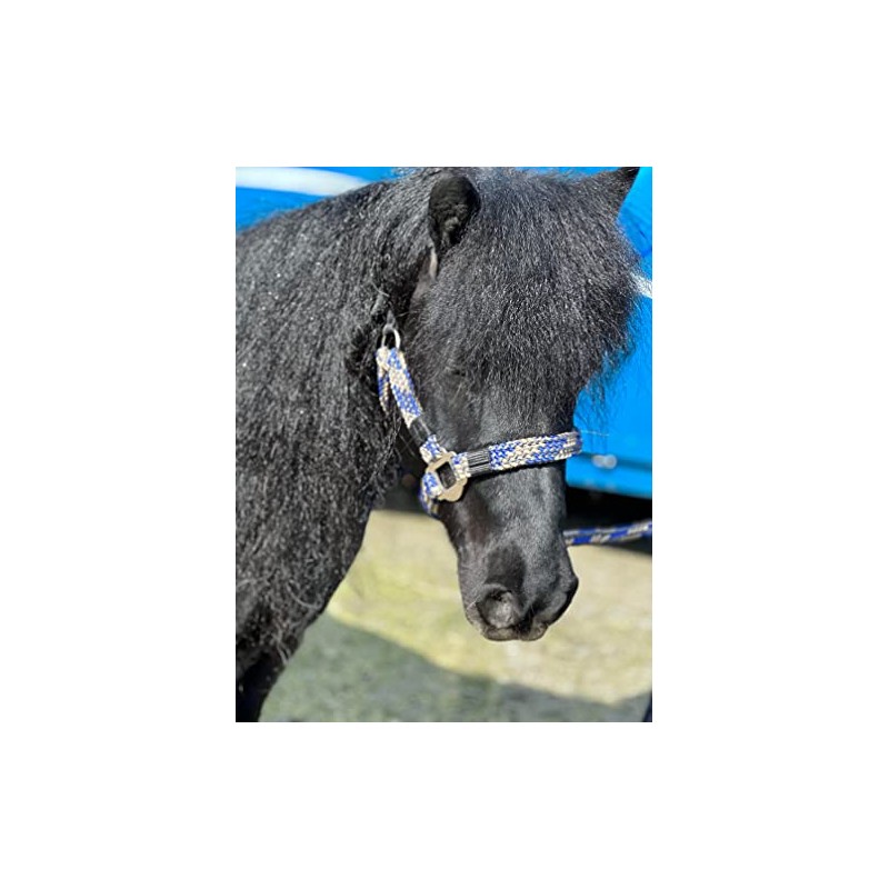 Equipride Braided Headcollar Lead Rope Set Size Full-Shetland (Pony, Royal
