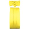 TigerTie Cummerbund Pocket Square Bow Tie in Various Colours -