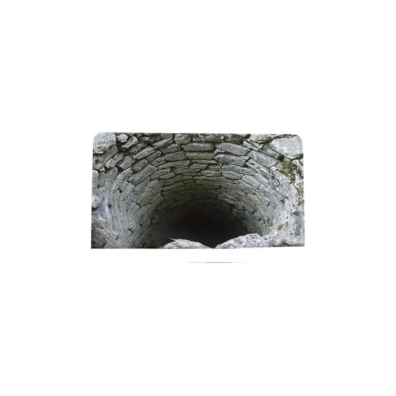 Genérico Tapete de Piso Visual 3D Absorbente Suciedad para Puerta