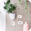 PlantPod Luxe - Self-Watering Wall Planters (Set of 6) -