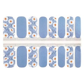 Daisy Flower Design #2 Nail Polish Wraps - Nail Polish Strips