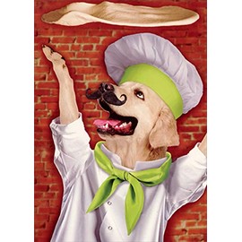 Portal Publications Dog Throwing Pizza Dough Funny / Humorous Birthday Card