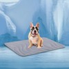Cozyide Dog Cooling Mat, Medium Cooling Mat for Dogs, Reversible