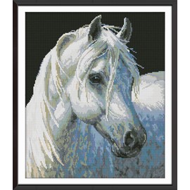 Abillyn Embroidery Cross Stitch Kits White Horse Stamped with Printed Pattern Starter Kit (White Horse)