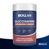 Bioglan BG Gluco + Chond + Turm 120s, 0.25 Kilograms