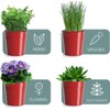 MoFarbe Herb Pots for Kitchen & Windowsill | Kitchen Herb