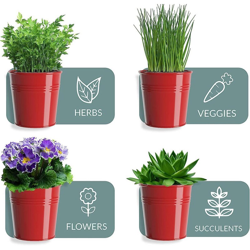 MoFarbe Herb Pots for Kitchen & Windowsill | Kitchen Herb