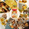 70+ Mixed Dried Citrus Slices – 4 Varieties of Dehydrated