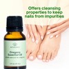 Natureance Natureance Oregano Essential Oil (15 mL) - 100% Pure