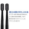 クラプロックス 歯ブラシ ブラックisホワイト（黒×黒）2本セット+歯ブラシスタンド（黒×白）