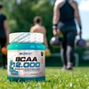 BCAA Powder - BCAA - BCAA 12,000-457 g - BCAA
