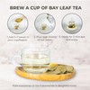 Bay Leaves Tea - 550 Dried Whole Leaves, 4.06 oz,
